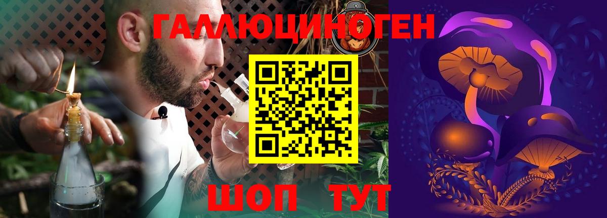 Саянск  Псилоцибиновые грибы MAGIC MUSHROOMS  Вход с VPN 